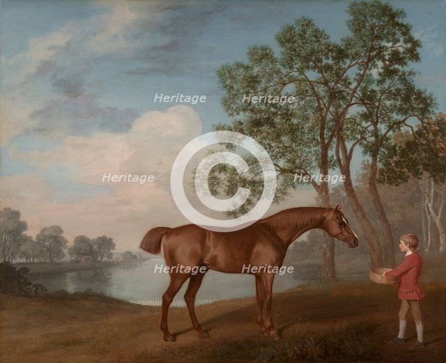 Pumpkin with a Stable-lad, 1774. Creator: George Stubbs.