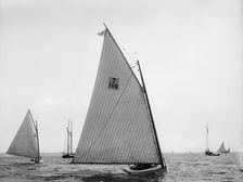 Punch, and Edwina, 1897 July 5. Creator: John S Johnston