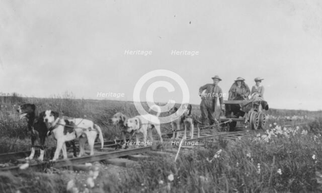Pup-mobile, between c1900 and 1916. Creator: Unknown.