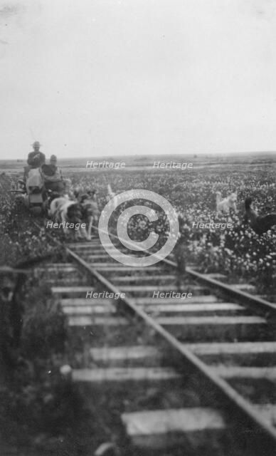 Pupmobile, between c1900 and 1916. Creator: Unknown.