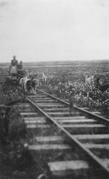 Pupmobile, between c1900 and 1916. Creator: Unknown