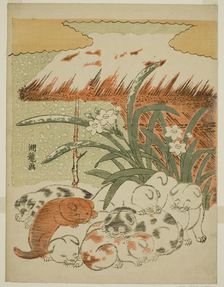 Puppies in the Snow, c. 1773. Creator: Isoda Koryusai