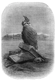 "Purification" (the Griffon Vulture): from "The Bird", by J. Michelet, 1868. Creators: Adolphe François Pannemaker, Albert Doms