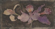 Purple orchid, 1876-1951. Creator: Theodorus Willem Nieuwenhuis