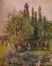 Purple Loosestrife c1891. Artist: Alfred William Parsons