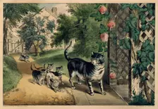 Pussy's Return, 1874-78., 1874-78. Creators: Nathaniel Currier, James Merritt Ives, Currier and Ives