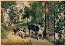 Pussy's Return, 1874-78., 1874-78. Creators: Nathaniel Currier, James Merritt Ives, Currier and Ives