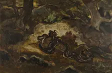 Python Crushing a Gnu, c1850s-1860s. Creator: Antoine-Louis Barye