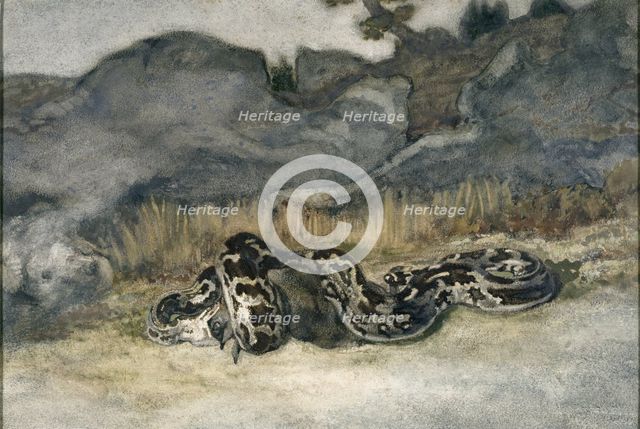Python Swallowing a Roe-Deer, c1840s. Creator: Antoine-Louis Barye.