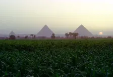 Pyramids of Giza at sunset, Egypt. Creator: Dr Stephen Coyne