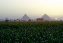 Pyramids of Giza at sunset, Egypt. Creator: Dr Stephen Coyne