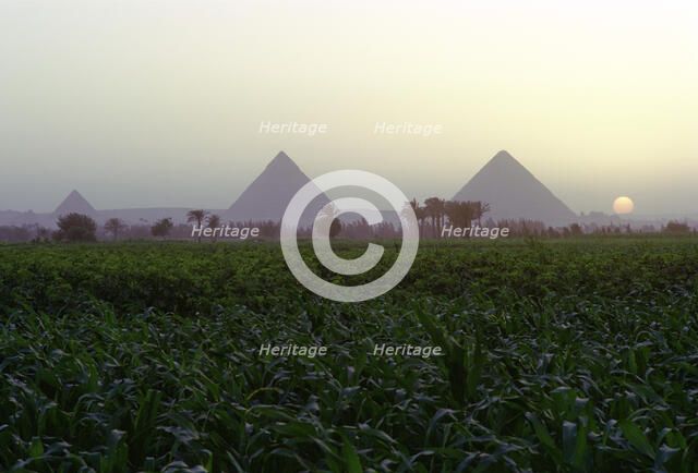 Pyramids of Giza at sunset, Egypt. Artist: Dr Stephen Coyne