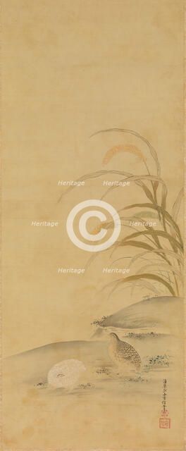 Quail and Millet, late 17th century. Creator: Kiyohara Yukinobu.
