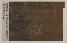 Quail and millet, Ming dynasty, 1368-1644. Creator: Unknown
