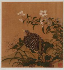 Quail and flowers, Qing dynasty, 18th century. Creator: Unknown