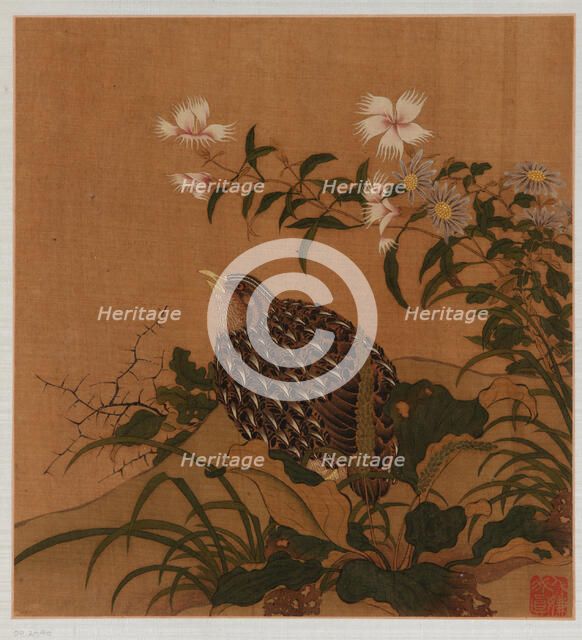 Quail and flowers, Qing dynasty, 18th century. Creator: Unknown.