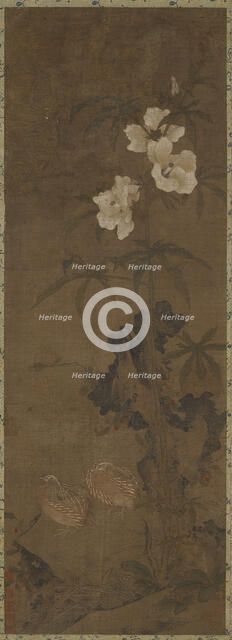 Quail and flowers, Yuan or Ming dynasty, 14th century. Creator: Unknown.