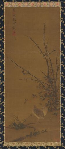 Quails, other birds, and brambles, (18th century?) Creator: Unknown