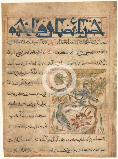 Qualities of Ringdoves (recto) from a Manafi al-Hayawan (On the Usefulness of Animals)…, c. 1300. Creator: Unknown.