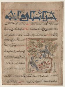 Qualities of Ringdoves (recto); On the Benefits of Quails (verso)..., c. 1300. Creator: Unknown