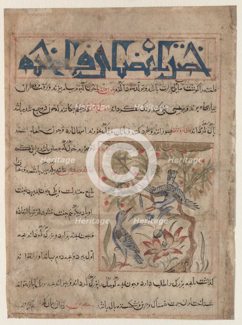 Qualities of Ringdoves (recto); On the Benefits of Quails (verso)..., c. 1300. Creator: Unknown.