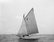 Quantuck, 1897 June 29. Creator: John S Johnston