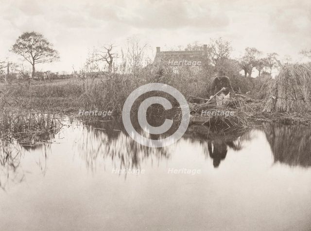 Quanting the Gladdon, 1886. Creator: Peter Henry Emerson.