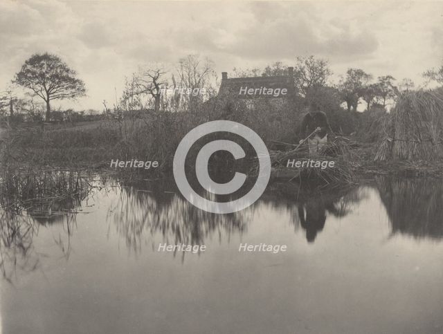 Quanting the Gladdon, 1886. Creators: Dr Peter Henry Emerson, Thomas Frederick Goodall.