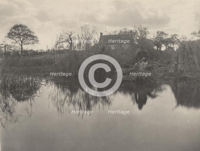 Quanting the Gladdon, 1886. Creators: Dr Peter Henry Emerson, Thomas Frederick Goodall.
