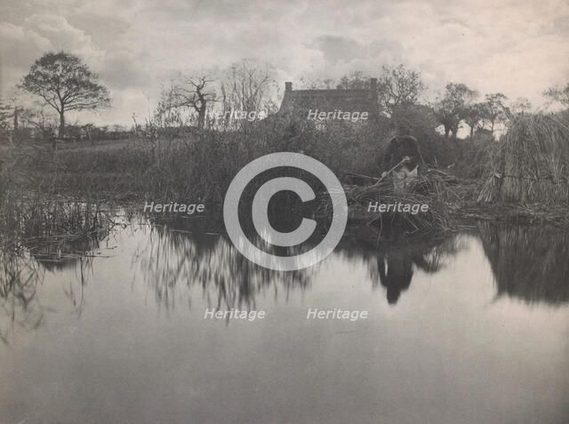 Quanting the Gladdon, 1887. Creator: Peter Henry Emerson.