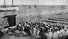 Quantities of codfish drying in the sun at Aveiro by the mouth of the Vouga, Portugal, c1930s. Artist: AW Cutler