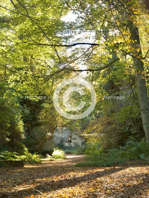 Quarry Garden at Belsay Hall in autumn, Northumberland, c1980-c2017. Artist: Historic England Staff Photographer.