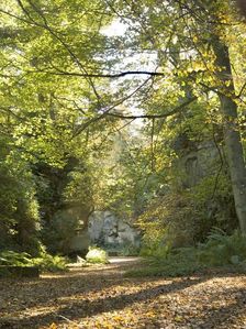 Quarry Garden at Belsay Hall in autumn, Northumberland, c1980-c2017. Artist: Historic England Staff Photographer