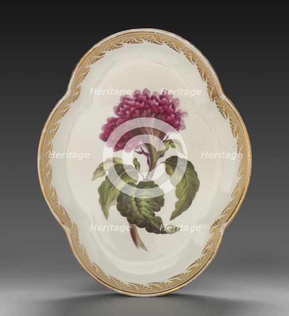 Quatrelobed Dish from Dessert Service: Coxcomb, c. 1800. Creator: Derby (Crown Derby Period) (British).
