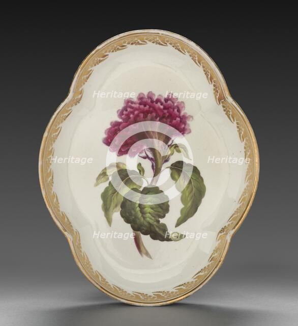 Quatrelobed Dish from Dessert Service: Coxcomb, c. 1800. Creator: Derby (Crown Derby Period) (British).