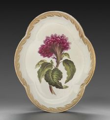 Quatrelobed Dish from Dessert Service: Coxcomb, c. 1800. Creator: Derby (Crown Derby Period) (British)