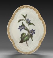 Quatrelobed Dish from Dessert Service: Nettle-leaved Bell Flower, c. 1800. Creator: Derby (Crown Derby Period) (British)