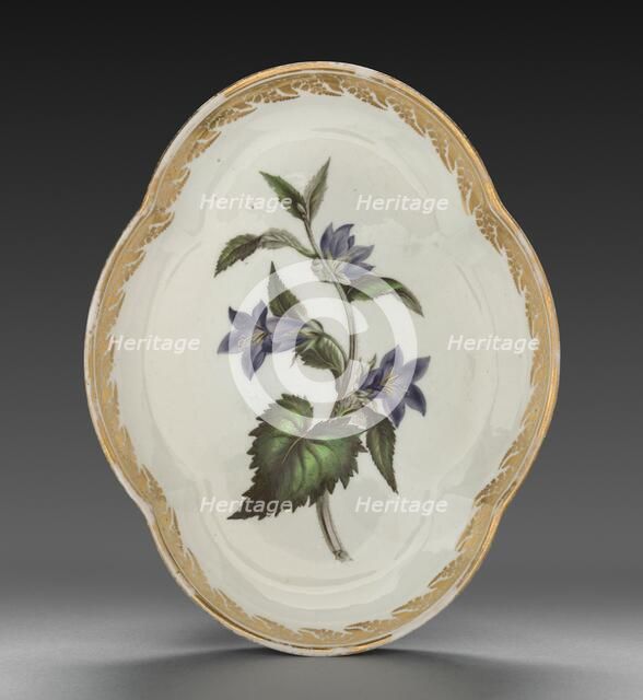 Quatrelobed Dish from Dessert Service: Nettle-leaved Bell Flower, c. 1800. Creator: Derby (Crown Derby Period) (British).