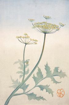 Queen Anne's Lace, about 1908. Creator: Wilhelmina Seegmiller