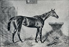 Queen Bertha 19th century, (1911)