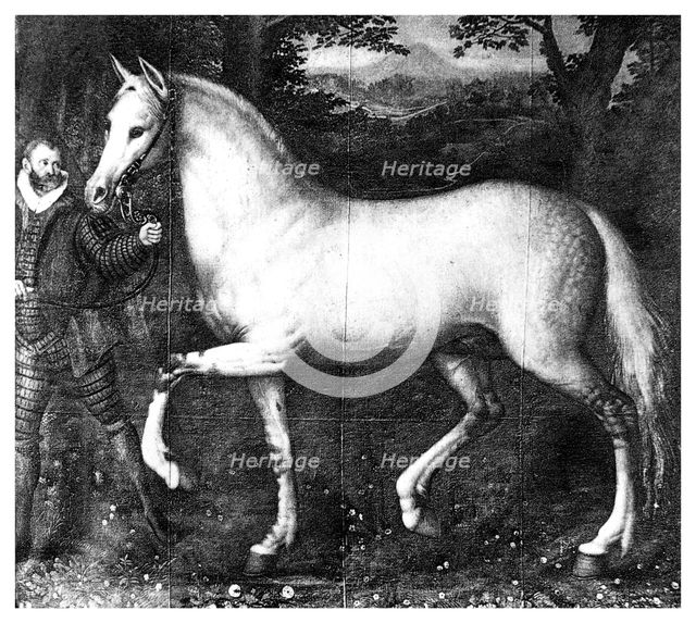 Queen Elizabeth I's horse, (1896). Artist: Unknown