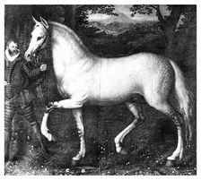 Queen Elizabeth I's horse, (1896)
