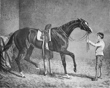 Queen of Trumps 1832-1843, (1911)