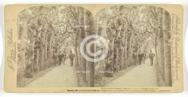Queen Mary's Bower, Hampton Court, London, England, 1892. Creator: Underwood & Underwood.