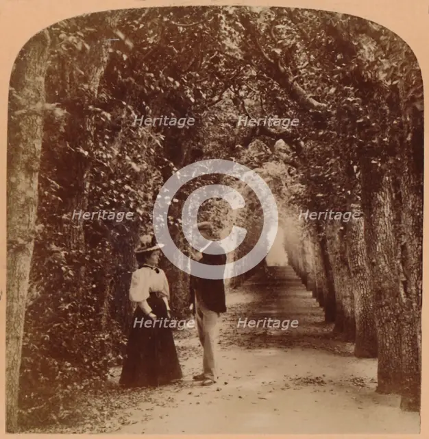 'Queen Mary's Bower, Hampton Court, London, England', 1896. Creator: Underwood & Underwood.