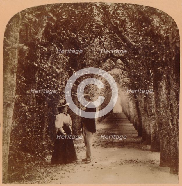 'Queen Mary's Bower, Hampton Court, London, England', 1896. Creator: Underwood & Underwood.
