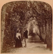 Queen Mary's Bower, Hampton Court, London, England 1896. Creator: Underwood & Underwood