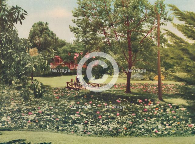 'Queen's Gardens', c1947. Creator: Unknown.