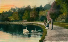 Queens Mere, Wimbledon c1910