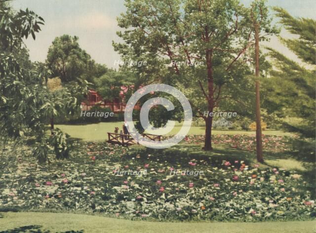 'Queen's Gardens', c1947. Creator: Unknown.